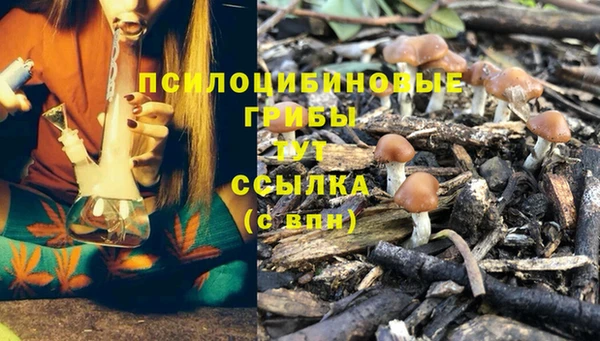 молекула духа Лихославль