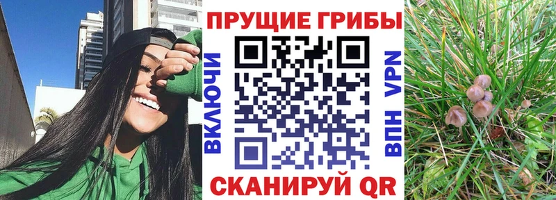 Псилоцибиновые грибы ЛСД omg ТОР Новый Уренгой